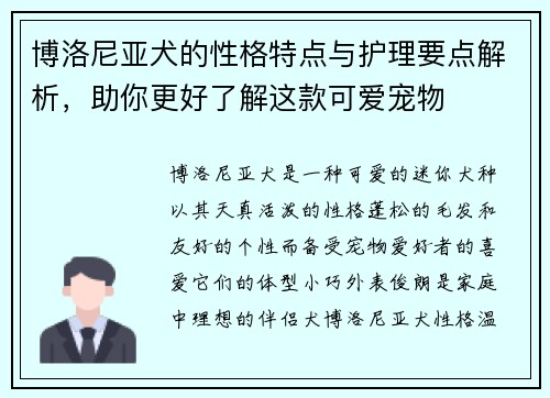 博洛尼亚犬的性格特点与护理要点解析，助你更好了解这款可爱宠物